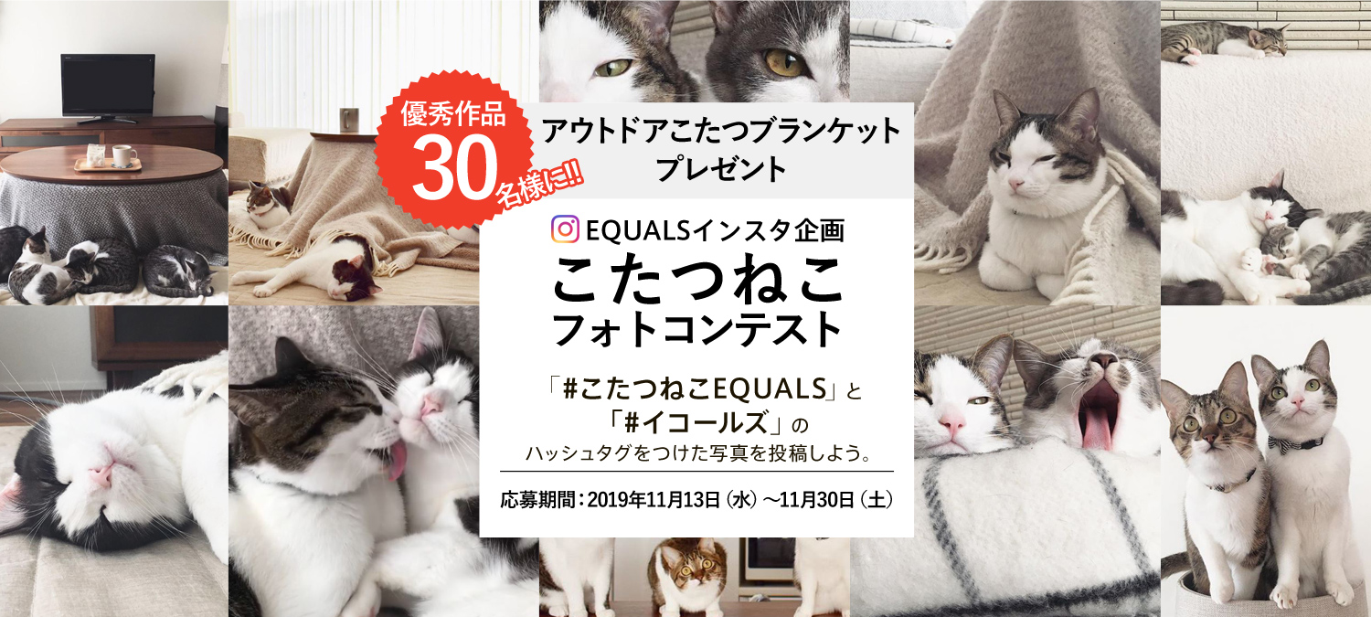 Equals公式instagramで こたつねこフォトコンテスト を開始しました