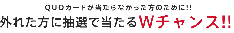 外れた方に抽選で当たる Wチャンス!